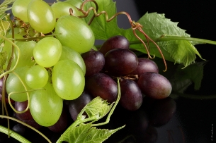 Grappoli d'uva