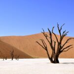 I punti caldi - hot spot - del cambiamento climatico
