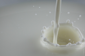 Rete Latte Roma: il primo contratto di rete italiano sul latte fresco